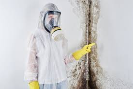 Best Basement Mold Removal  in Mississippi State, MS